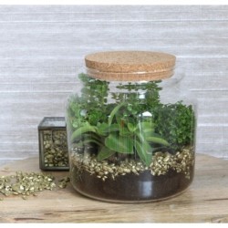 Bocal en verre avec bouchon Ø15 H.14 cm – verrerie en gros