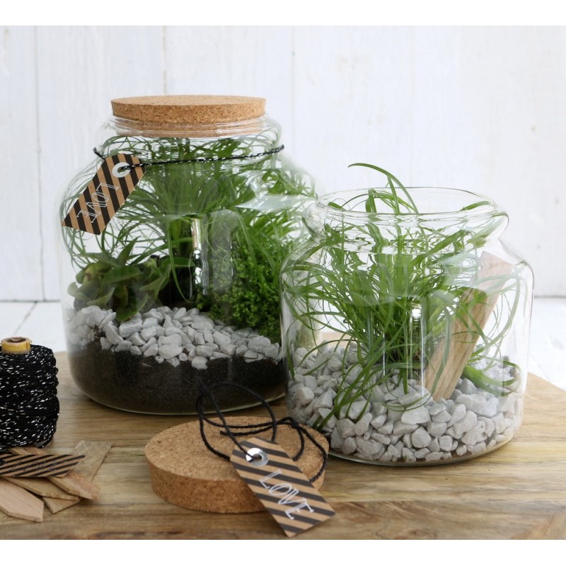 Bocal en verre avec bouchon Ø15 H.14 cm – verrerie pour décoration de mariage, vente en gros aux fleuristes