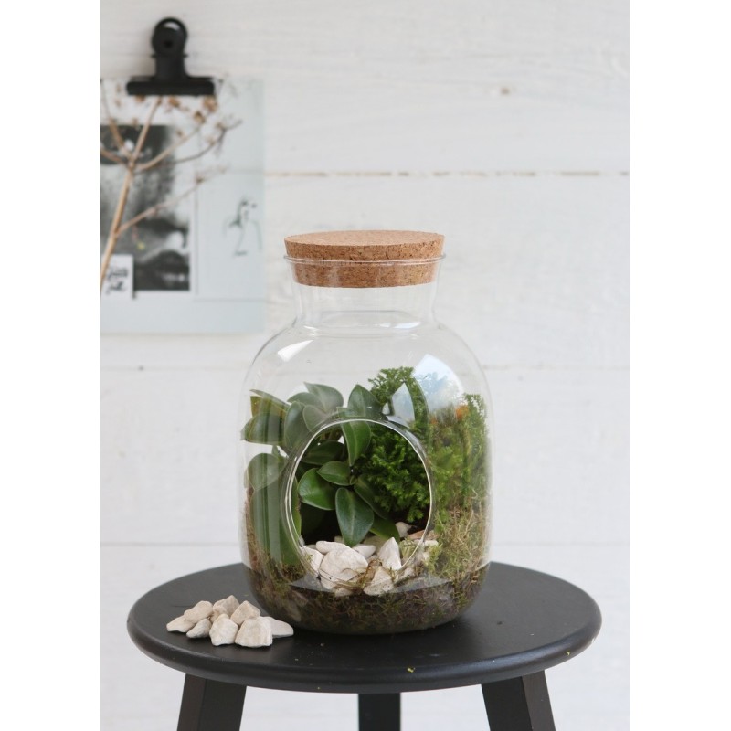 Bouteille cylindre en verre avec bouchon Ø12 H.18 cm – verrerie pour décoration de mariage, vente en gros aux fleuristes