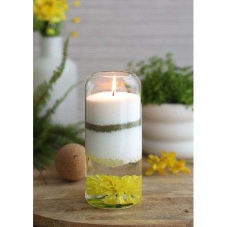 Terrarium en verre Sienna Ø8.5 H.19 cm - ambiance 2