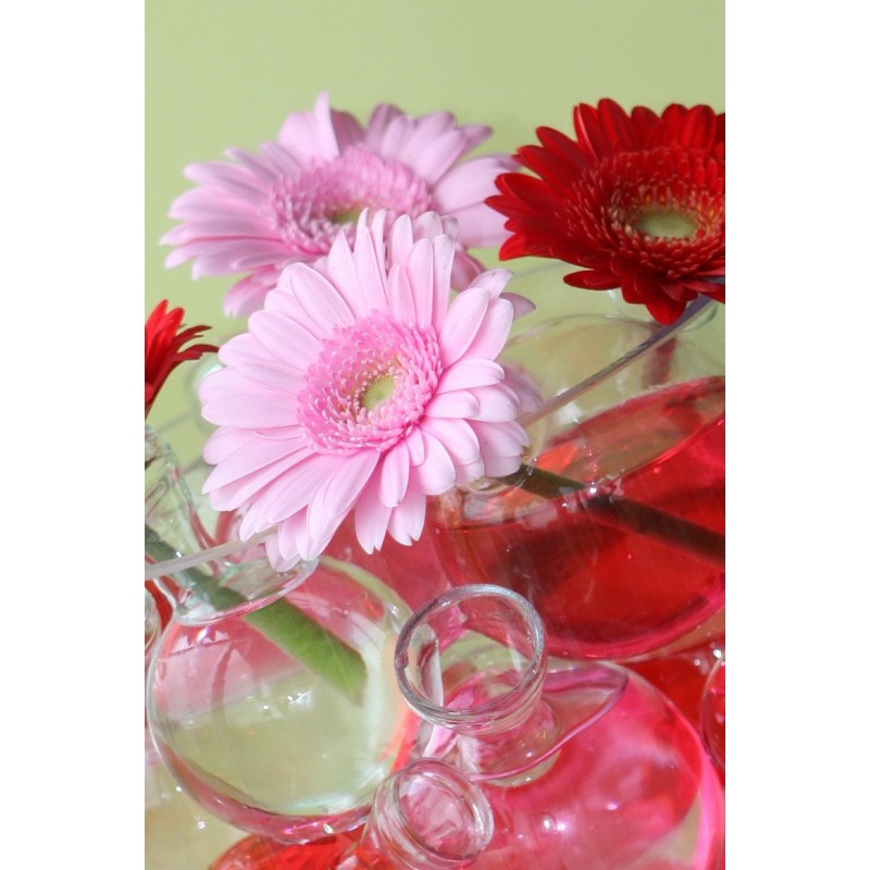 Colorant pour eau rouge 150 ml – grossiste en accessoires floraux