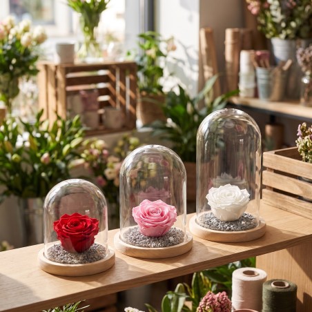 Cloches en verre sur socle bois en 3 tailles avec roses éternelles en boutique – grossiste en cloches en verre