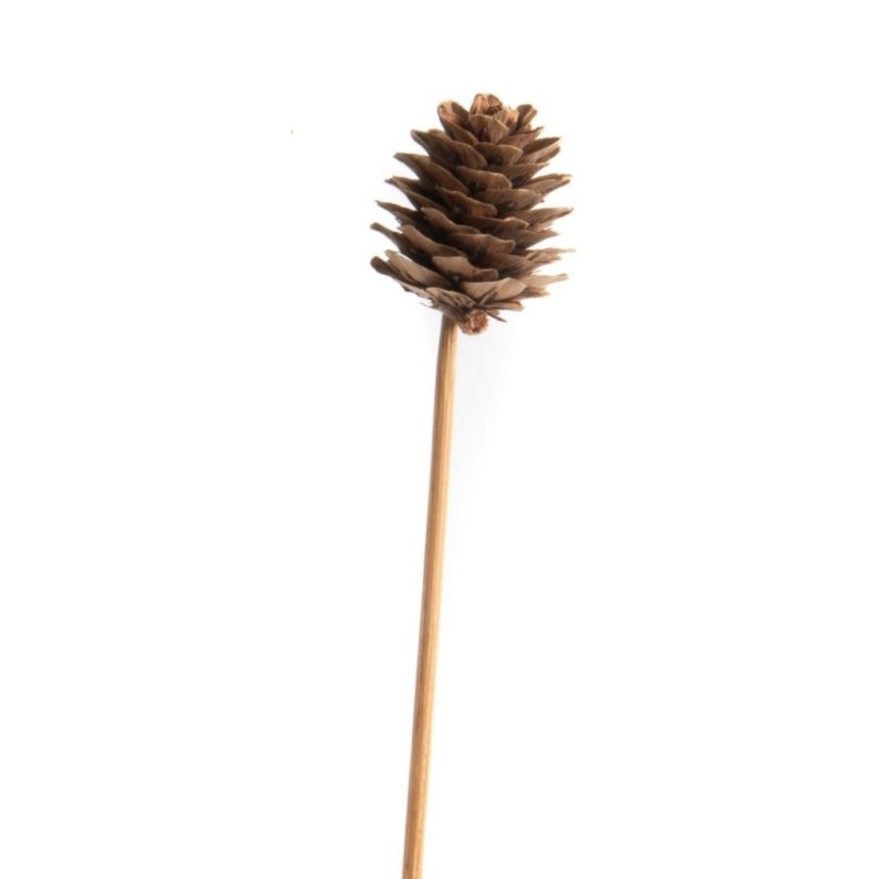 Pique pomme de pin naturelle Ø3-4 cm - lot de 30 - grossiste en piques pour fleuristes