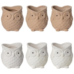 Vases chouette taupe et blanc garnis de plantes grasses et bruyères – grossiste en cadeaux d'automne