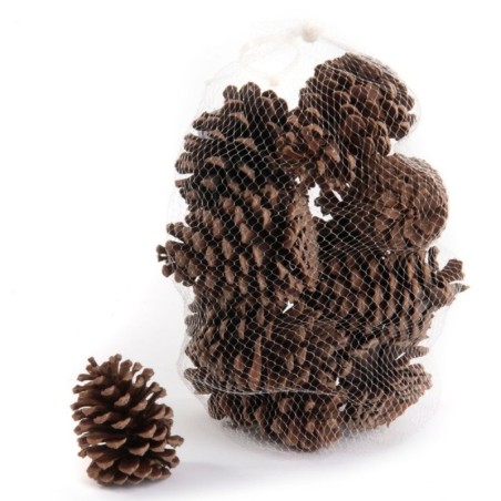 Pommes de pin naturelles en sac de 300 g Ø8-9 H.12-13 5 cm - grossiste en pommes de pin pour fleuristes