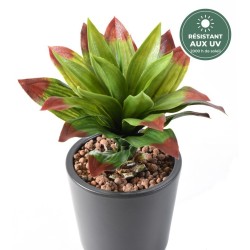 Agave artificielle vert et rouge 35 cm, grossiste en plantes artificielles
