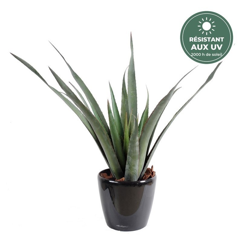 Aloe ferox artificiel vert 65 cm, vente en gros pour fleuristes et commerçants