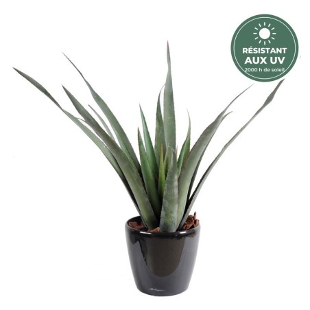 Aloe ferox artificiel vert 65 cm, vente en gros pour fleuristes et commerçants
