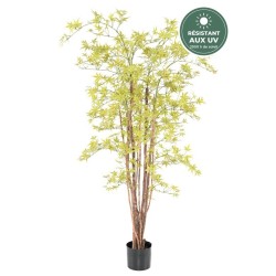Aralia artificiel en pot vert clair 160 cm, grossiste en arbres artificiels
