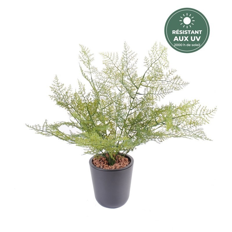 Asparagus artificiel sur piquet vert 50 cm, grossiste en feuillage artificiel