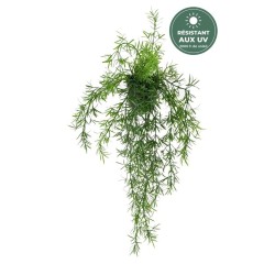 Chute d'asparagus artificiel en pot vert 55 cm, grossiste en plantes artificielles