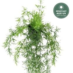 Chute d'asparagus artificiel en pot vert 55 cm, vente en gros pour fleuristes