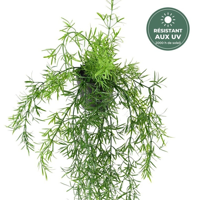Chute d'asparagus artificiel en pot vert 55 cm, vente en gros pour fleuristes