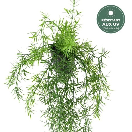 Chute d'asparagus artificiel en pot vert 55 cm, vente en gros pour fleuristes