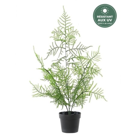 Asparagus artificiel en pot vert 50 cm, grossiste en plantes artificielles