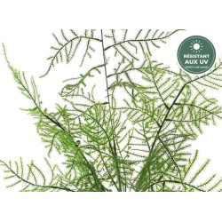 Asparagus artificiel en pot vert 50 cm, vente en gros pour commerçants