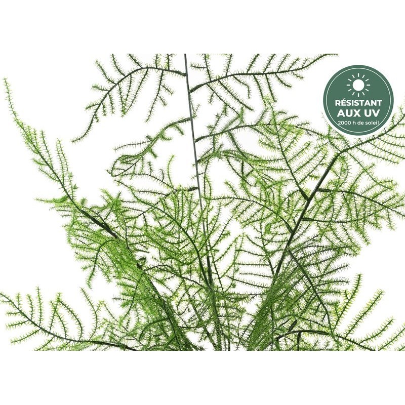 Asparagus artificiel en pot vert 50 cm, vente en gros pour commerçants
