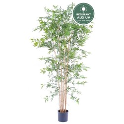 Bambou japonais artificiel en pot vert 220 cm, vente en gros pour hôtels et restaurants