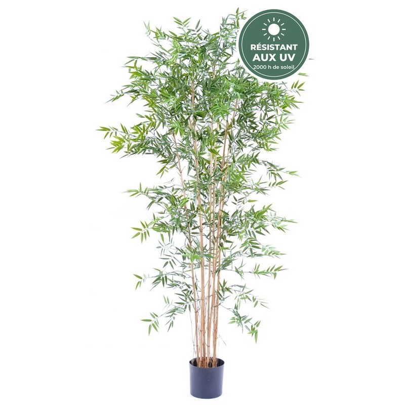 Bambou japonais artificiel en pot vert 220 cm, vente en gros pour hôtels et restaurants