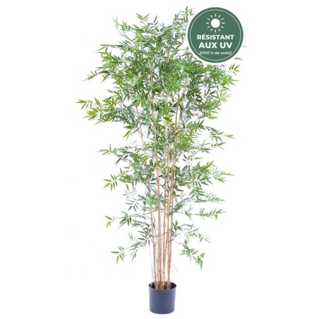 Bambou japonais artificiel en pot vert 220 cm, vente en gros pour hôtels et restaurants