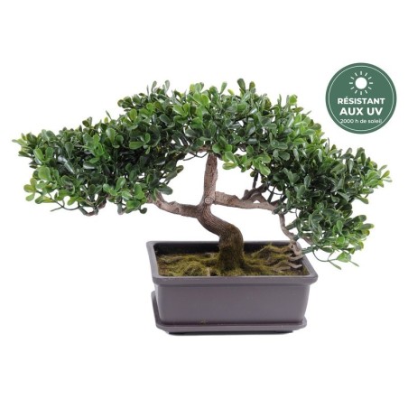 Bonsaï thé artificiel en coupe vert 22 cm, grossiste en plantes artificielles
