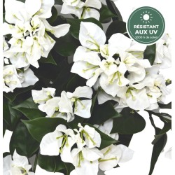 Chute de bougainvillée artificielle blanc 40 cm, vente en gros pour fleuristes