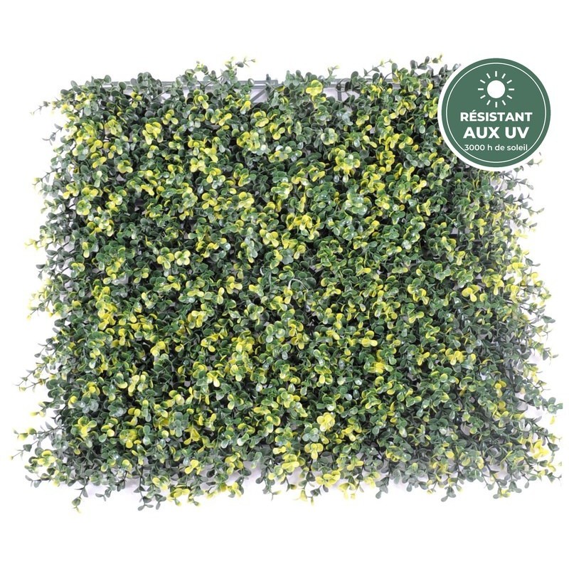 Plaque de buis artificiel 50 × 50 cm vert et vert clair, épaisseur 8 cm – vente en gros pour fleuristes