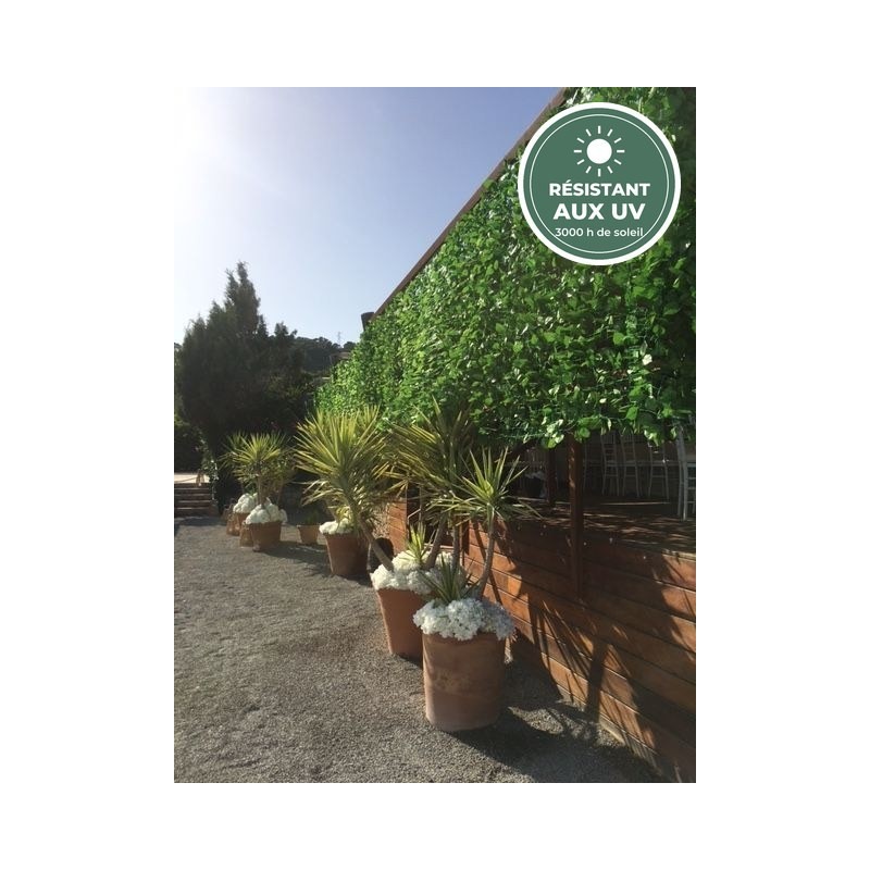 Filet de charme artificiel vert, 200 × 300 cm – grossiste fleuriste à Saint-Étienne