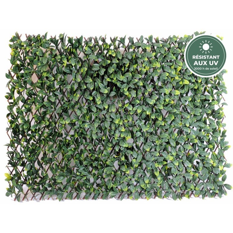 Palissade de charme artificiel grandes feuilles vert, 100 × 200 cm – vente en gros de végétal artificiel