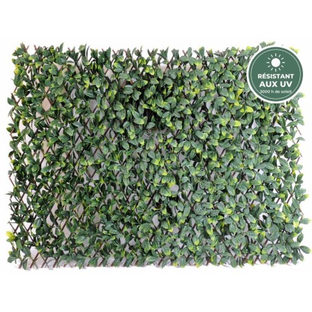 Palissade de charme artificiel grandes feuilles vert, 100 × 200 cm – vente en gros de végétal artificiel
