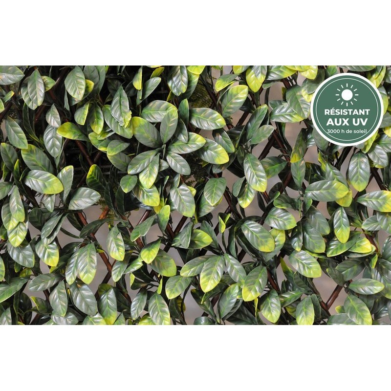 Palissade de charme artificiel grandes feuilles vert, 100 × 200 cm – grossiste fleuriste à Saint-Étienne