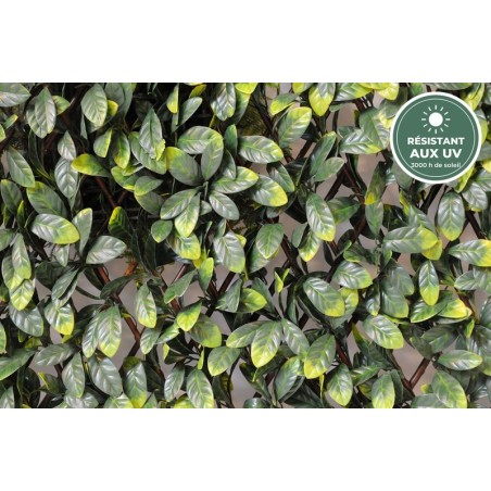 Palissade de charme artificiel grandes feuilles vert, 100 × 200 cm – grossiste fleuriste à Saint-Étienne