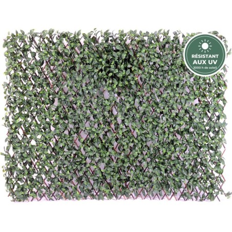 Palissade de charme artificiel petites feuilles vert, 100 × 200 cm – plantes d'extérieur en gros pour professionnels