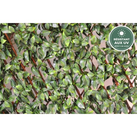 Palissade de charme artificiel petites feuilles vert, 100 × 200 cm – grossiste en topiaires artificielles