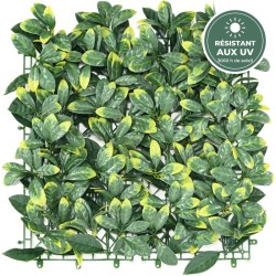 Plaque de cornouiller artificiel vert, épaisseur 8 cm – grossiste en décoration végétale