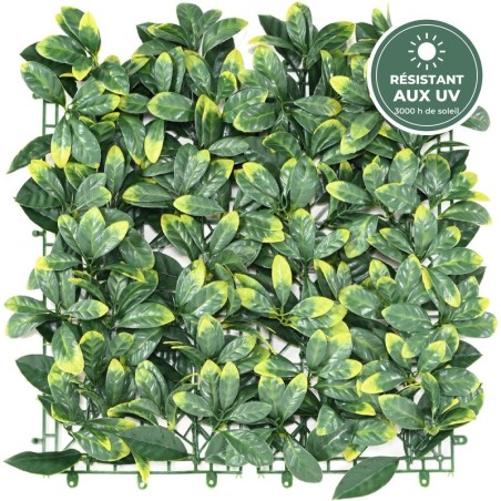 Plaque de cornouiller artificiel vert, épaisseur 8 cm – grossiste en décoration végétale