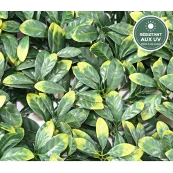 Plaque de cornouiller artificiel vert, épaisseur 8 cm – grossiste fleuriste à Saint-Étienne