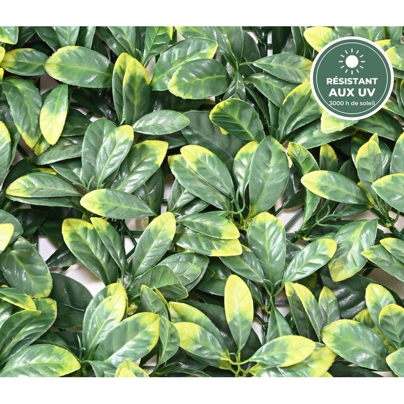 Plaque de cornouiller artificiel vert, épaisseur 8 cm – grossiste fleuriste à Saint-Étienne