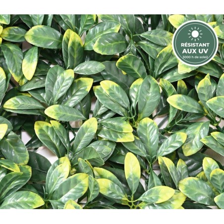 Plaque de cornouiller artificiel vert, épaisseur 8 cm – grossiste fleuriste à Saint-Étienne