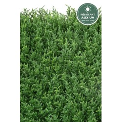 Plaque de cyprès artificiel 50 × 50 cm vert, épaisseur 5 cm – grossiste fleuriste à Saint-Étienne