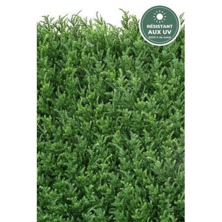 Plaque de cyprès artificiel 50 × 50 cm vert, épaisseur 5 cm – grossiste fleuriste à Saint-Étienne
