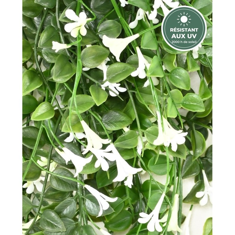 Dischidia fleuri artificiel blanc 65 cm, détail des fleurs, plante anti-UV en gros