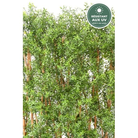 Haie d'eucalyptus 110 cm verte, socle en bois et cannes, vente en gros pour fleuristes