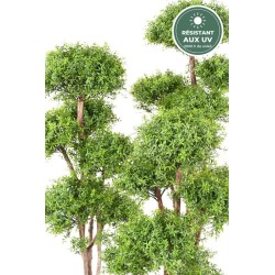 Eucalyptus multitronc vert 130 cm, pot d'origine, grossiste pour commerçants