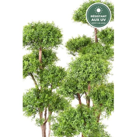 Eucalyptus multitronc vert 130 cm, pot d'origine, grossiste pour commerçants