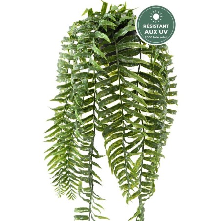 Fougère retombante verte 75 cm, détail des tiges, vente en gros pour fleuristes