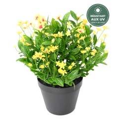 Hélianthe jaune 30 cm en pot, grossiste en fleurs d'extérieur