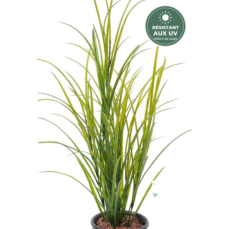 Herbe des champs verte 100 cm, détail des brins, vente en gros pour fleuristes