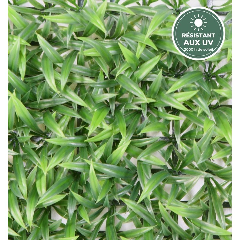 Plaque d'herbe large verte 30 × 30 cm, détail des feuilles, vente en gros pour fleuristes