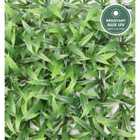 Plaque d'herbe large verte 30 × 30 cm, détail des feuilles, vente en gros pour fleuristes